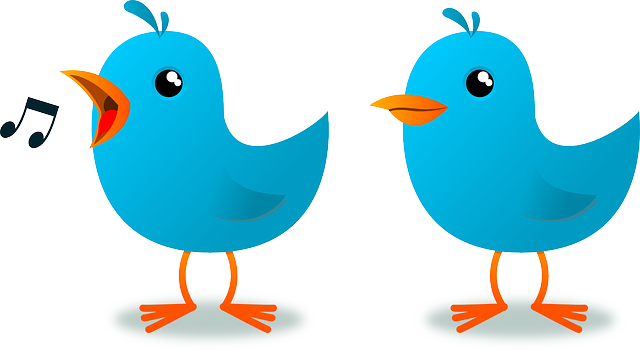 köpa twitter visningar